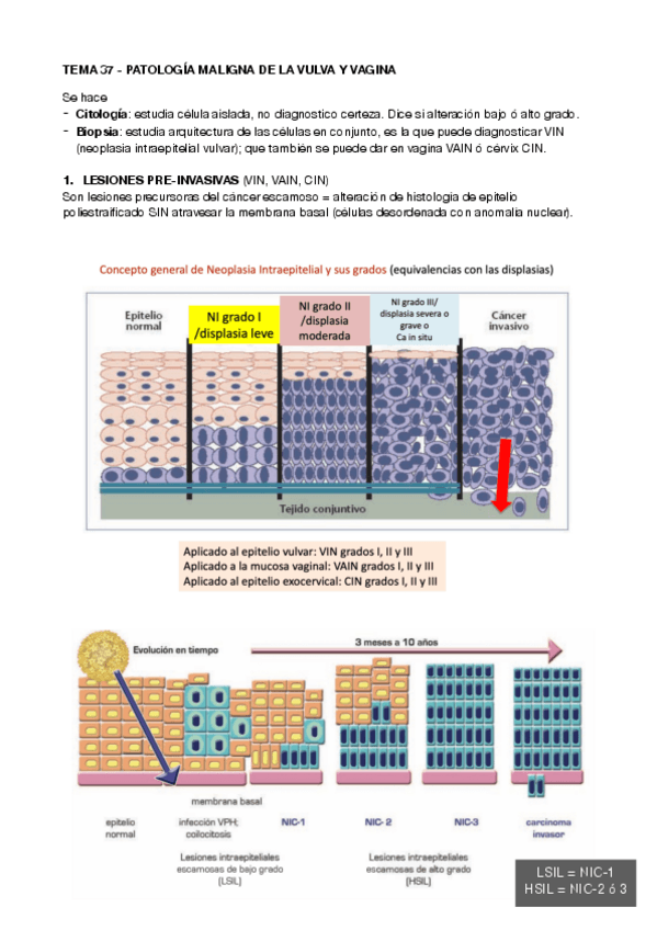 Miniatura del documento tema-37-gine-pdf.pdf