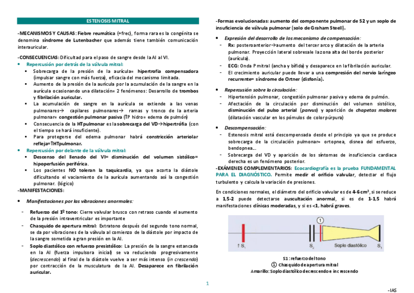 Miniatura del documento VALVULOPATIAS-PG2o.pdf