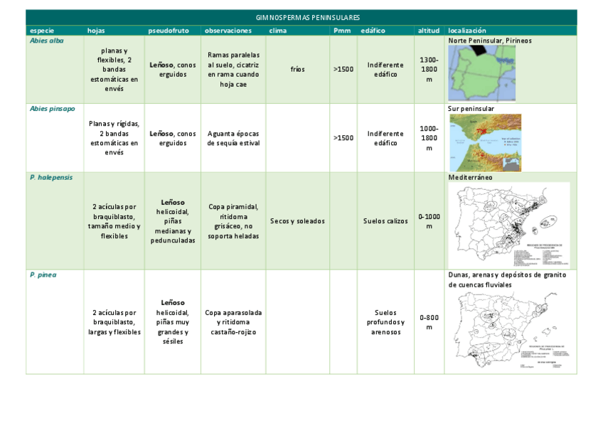 Miniatura del documento gimnospermas-peninsulares.pdf