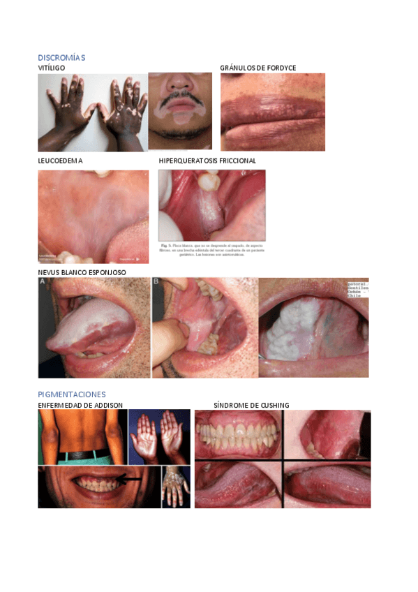 Miniatura del documento PMB-tema-6.pdf