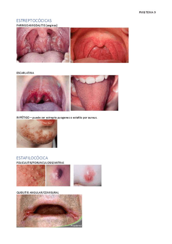 Miniatura del documento PMB-TEMA-9-PMB.pdf