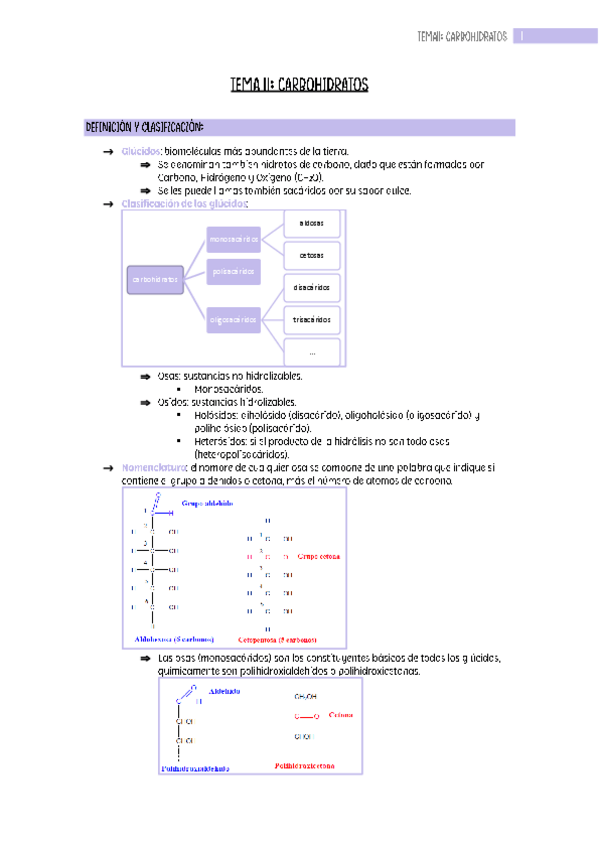 Miniatura del documento tema-11.pdf