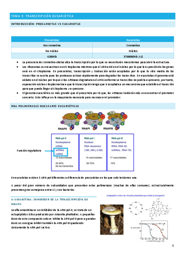 Miniatura del documento Tema-9.pdf