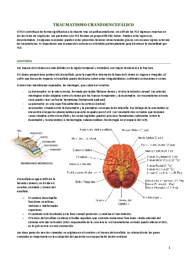 Miniatura del documento TCE.pdf