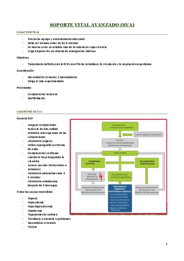 Miniatura del documento SOPORTE-VITAL-AVANZADO.pdf