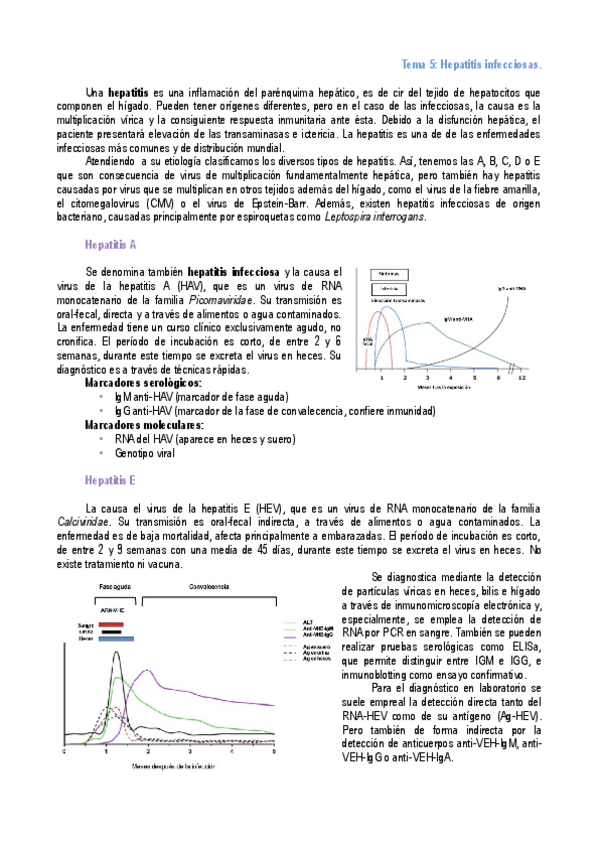 Miniatura del documento Tema-5.pdf
