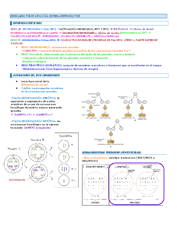 Miniatura del documento Fisiopatologia.pdf