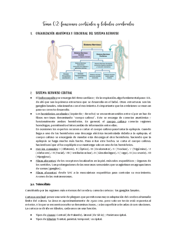 Miniatura del documento Apuntes-tema-02.pdf
