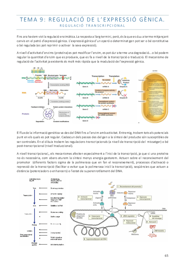 Miniatura del documento Tema9.pdf