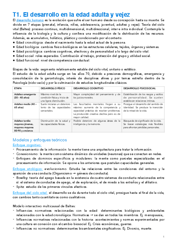 Miniatura del documento Desarrollo-FINAL.pdf