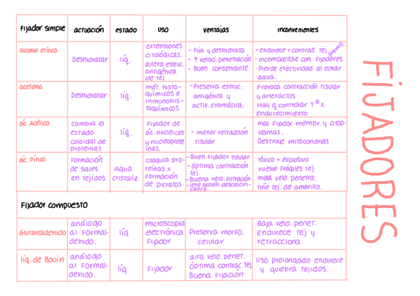 Miniatura del documento PCT-tabla-fijadores.pdf