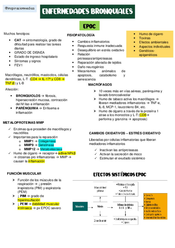 Miniatura del documento ENF-RESPIRATORIAS.pdf