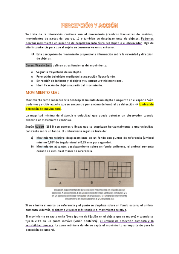Miniatura del documento apuntes-t3-percepcion.pdf