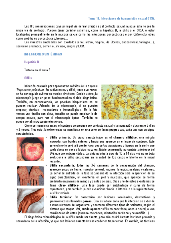 Miniatura del documento Tema-11.pdf