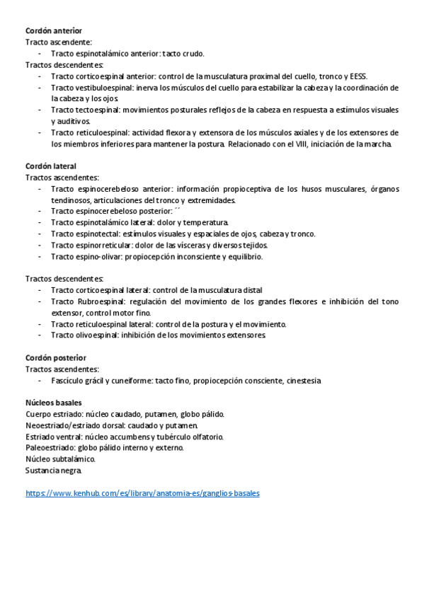 Miniatura del documento Esquema-neuro-funciones.pdf