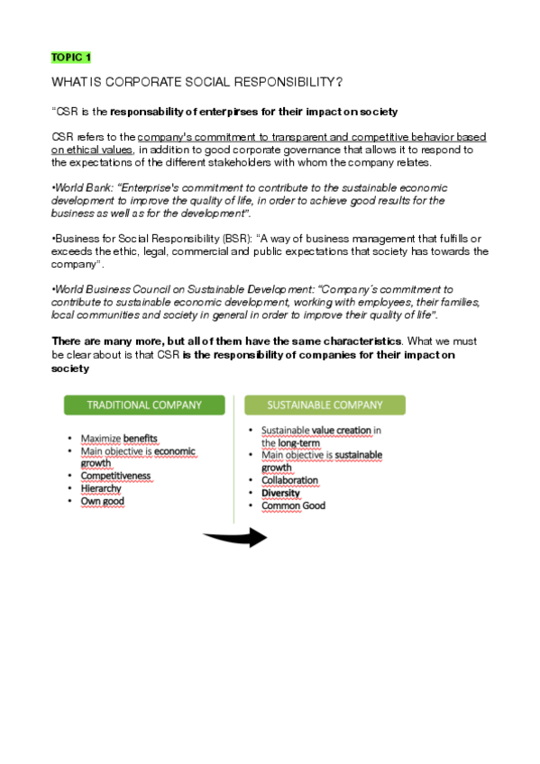 Miniatura del documento CSR-2o.pdf