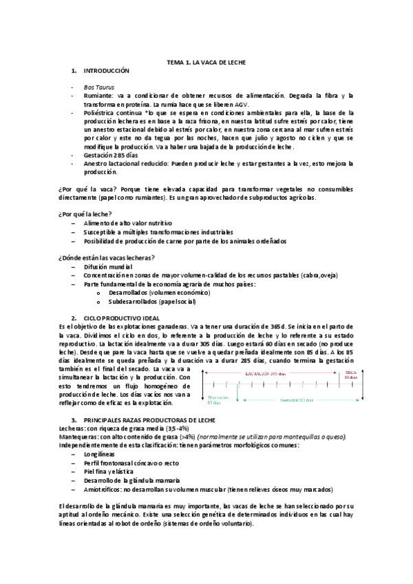 Miniatura del documento PRODUCCION-JOEL-Recuperado-automaticamente.pdf