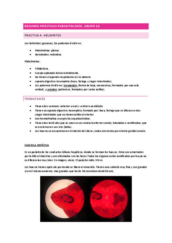 Miniatura del documento RESUMEN-SEMANA-1-PARASITOLOGIA.pdf