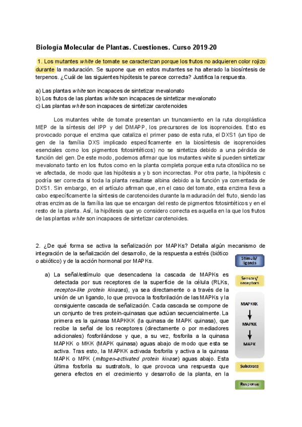 Miniatura del documento Cuestiones-2019-20.pdf