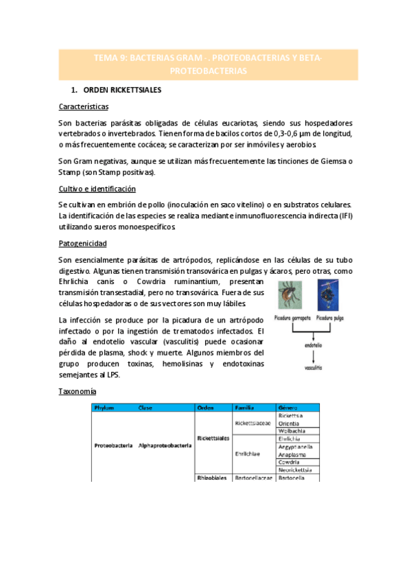 Miniatura del documento TEMA-9.pdf