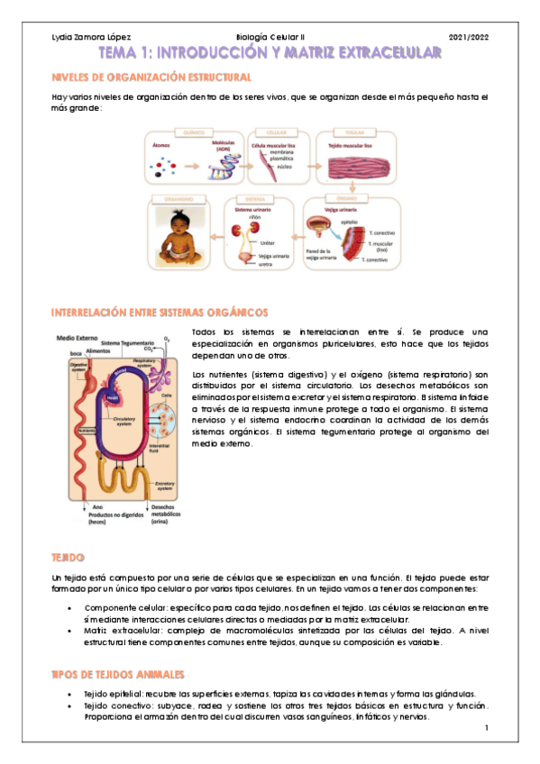 Miniatura del documento BioCell II / Tema-1-7.pdf