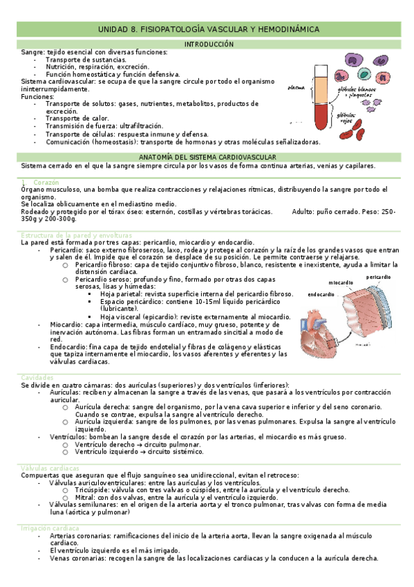 Miniatura del documento UNIDAD-8.docx