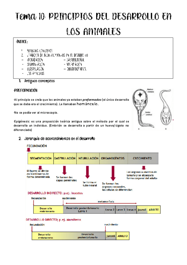 Miniatura del documento tema-10-animal.pdf