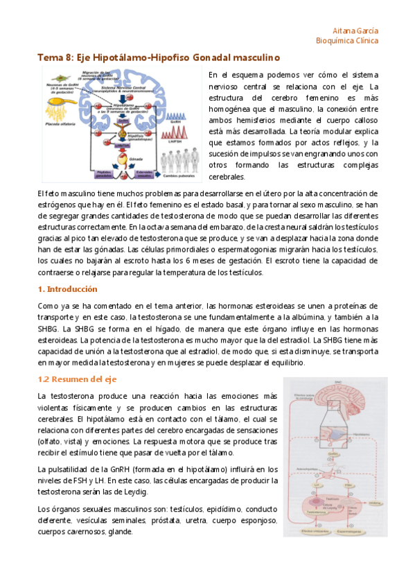 Miniatura del documento Tema-8-Eje-Hipotalamo-Hipofiso-Gonadal-masculino.pdf
