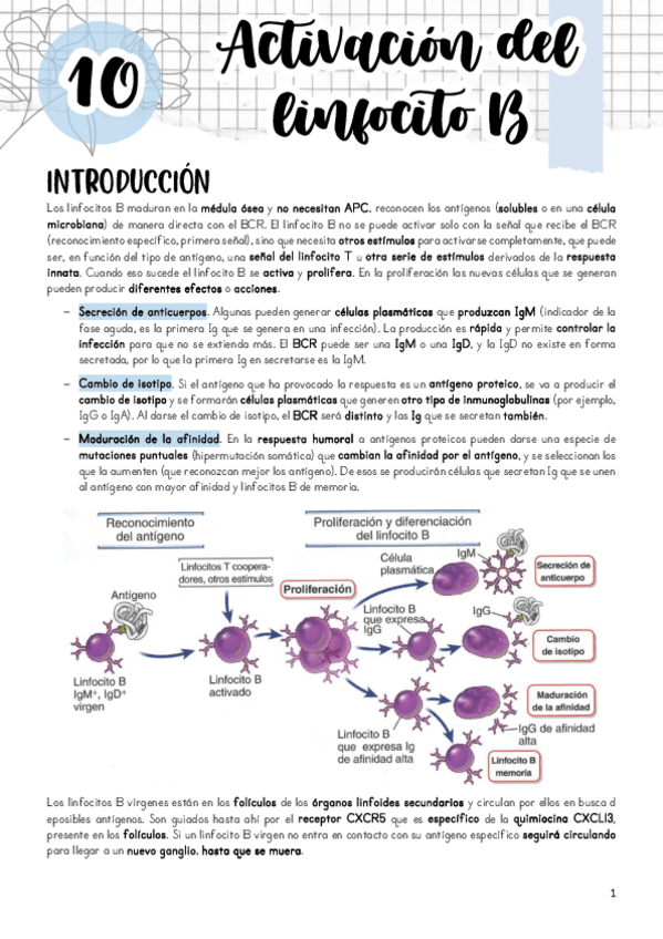 Miniatura del documento Tema-10.pdf