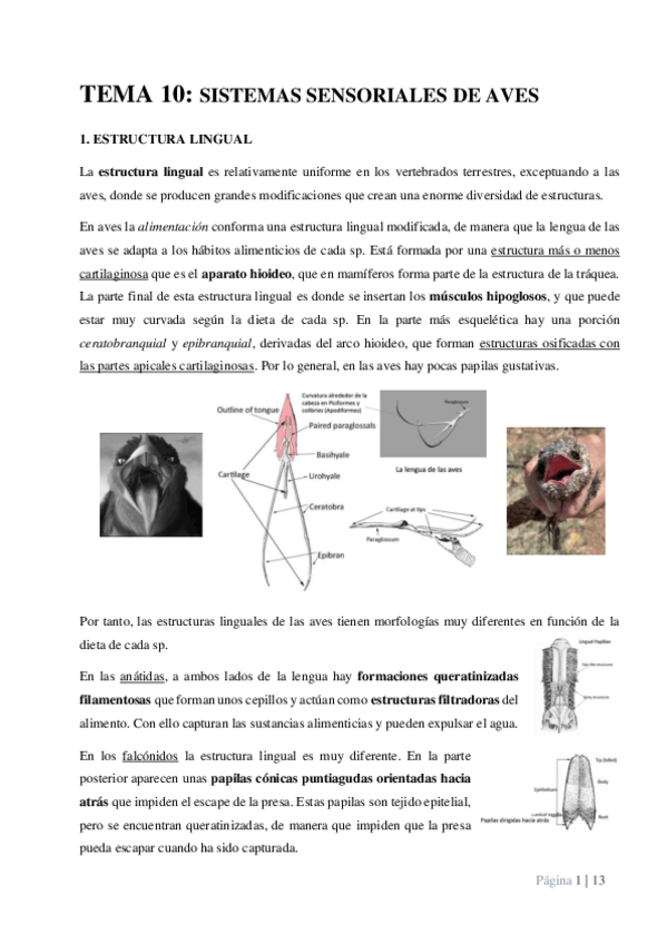 Miniatura del documento TEMA-10.pdf
