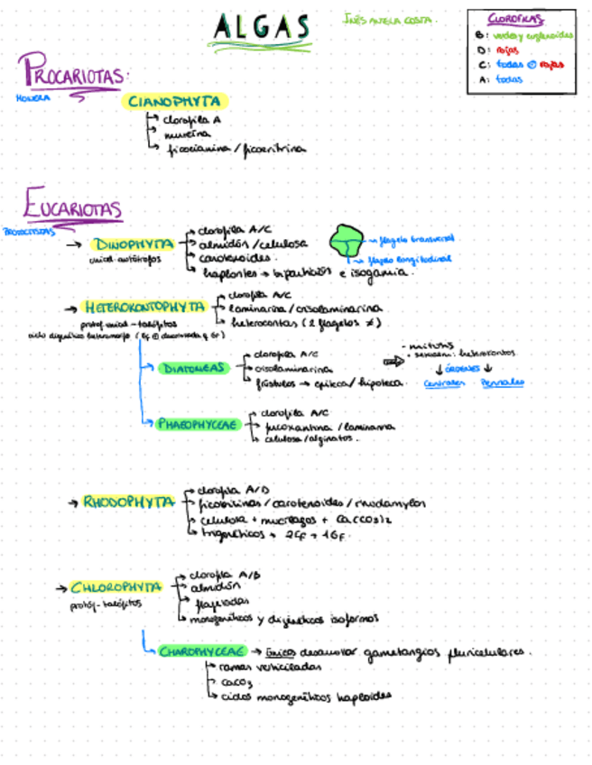 Miniatura del documento Resumenes-Botanica.pdf