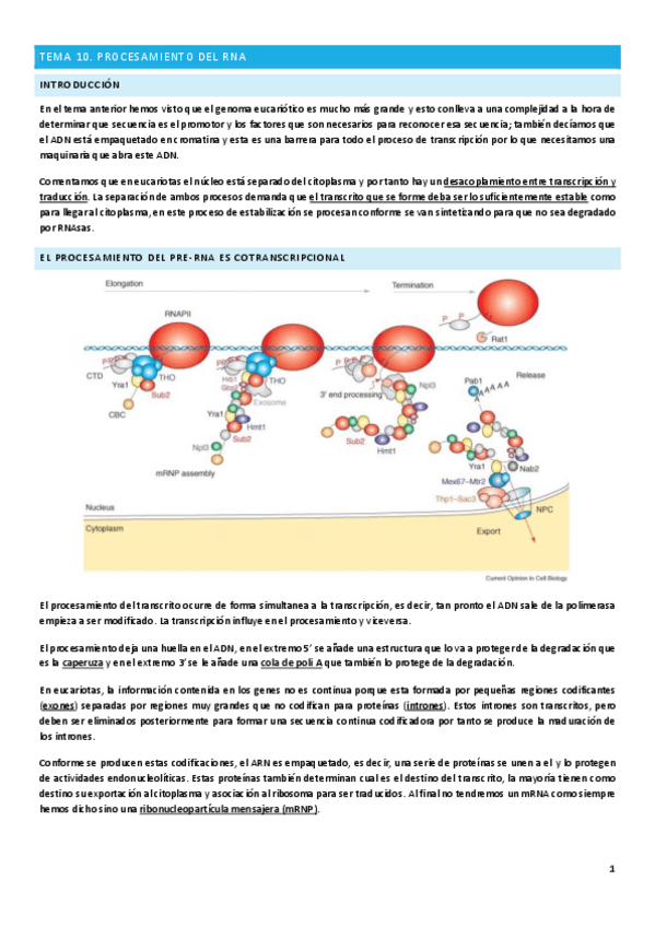 Miniatura del documento Tema-10.pdf