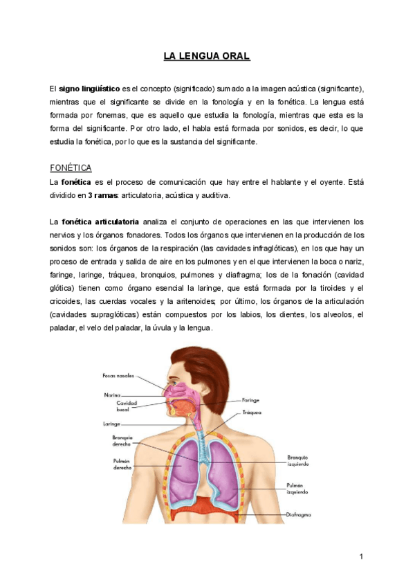 Miniatura del documento T.pdf