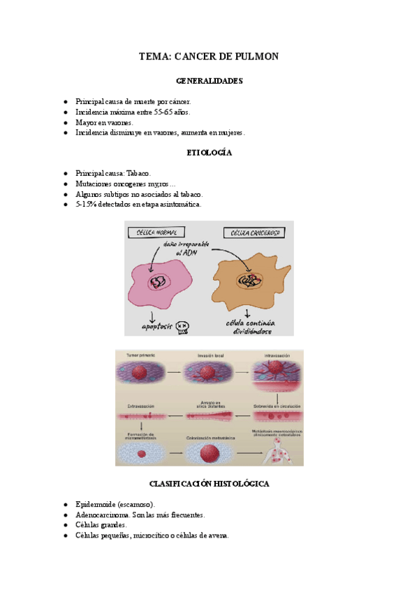 Miniatura del documento Cancer-de-pulmon.pdf