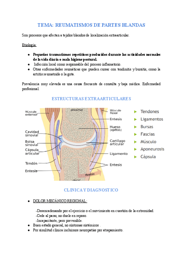 Miniatura del documento REUMATISMOS-PARTES-BLANDAS.pdf