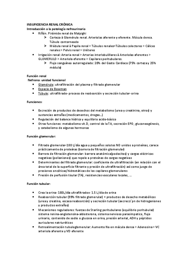 Miniatura del documento Enfermedad-renal-cronica.pdf