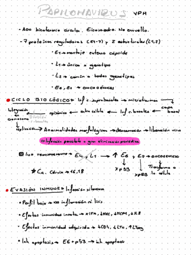 Miniatura del documento ESQ.pdf