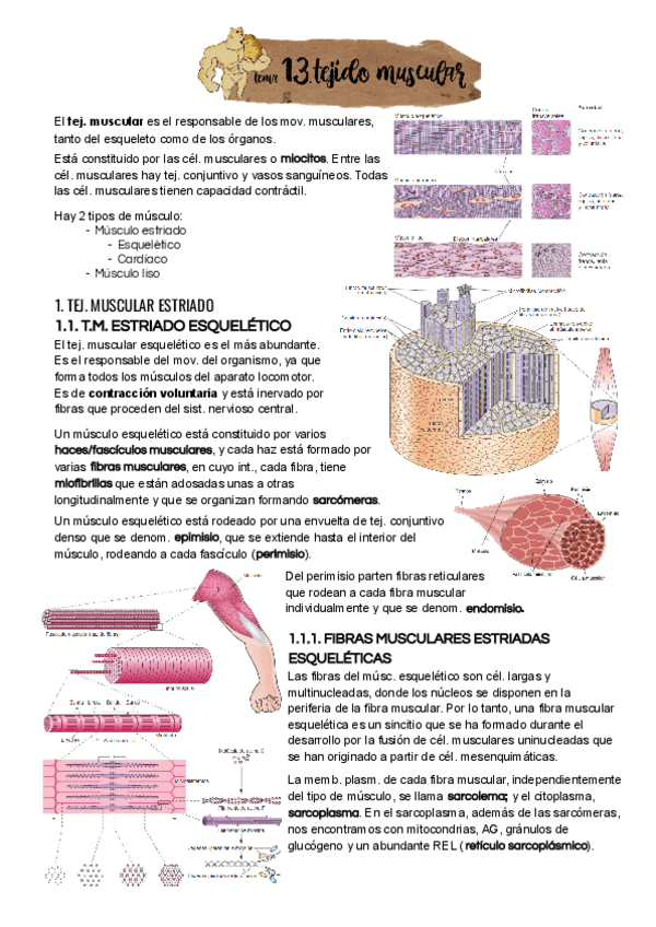 Miniatura del documento Tema-13.pdf