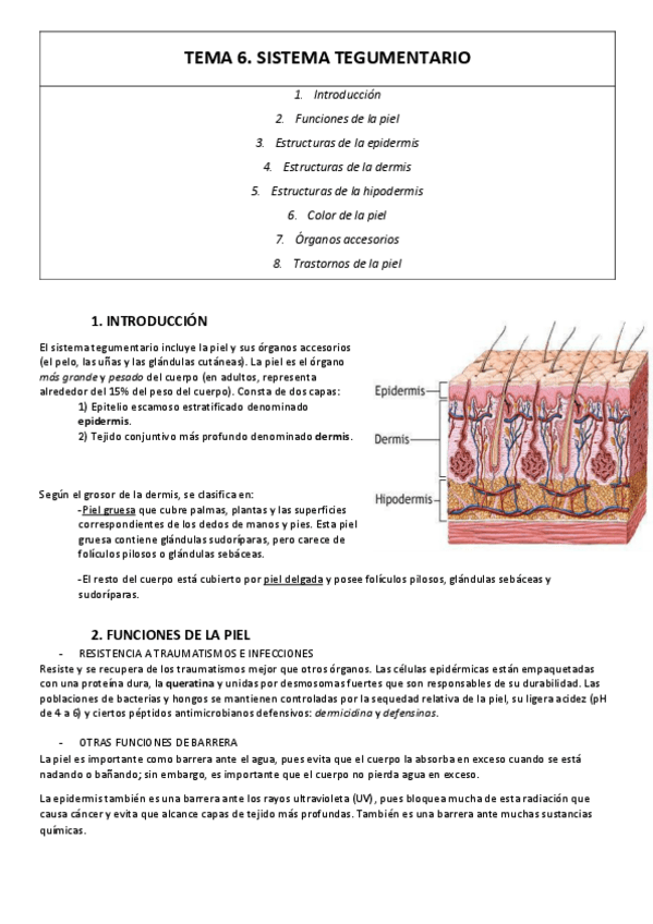 Miniatura del documento TEMA-6-resumen.pdf