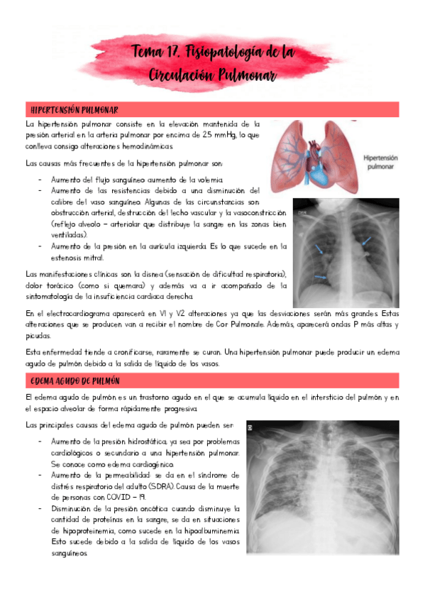 Miniatura del documento Tema-17.pdf