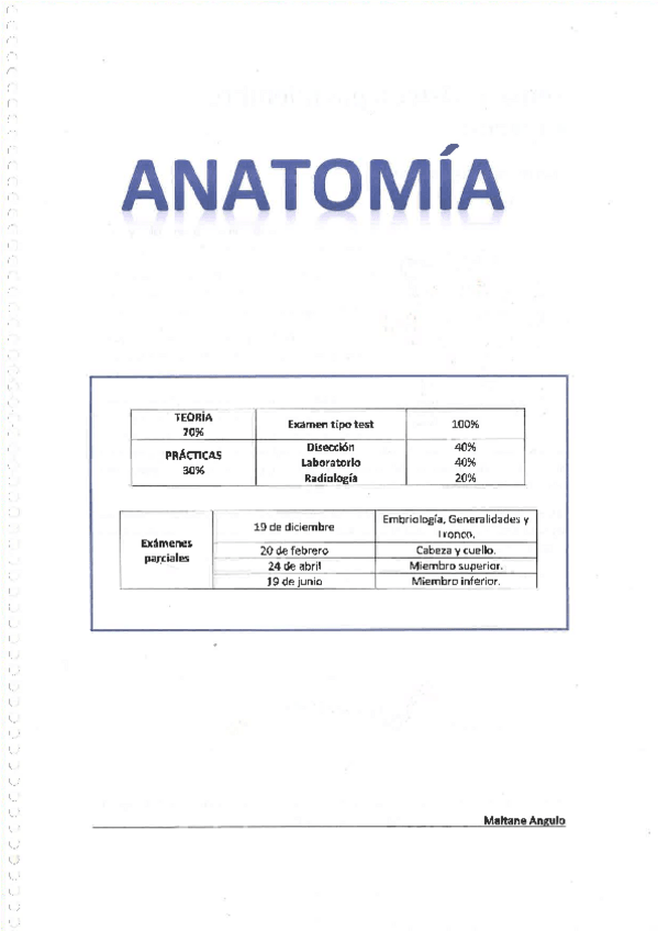 Miniatura del documento 1.4. MIEMBRO SUPERIOR.pdf