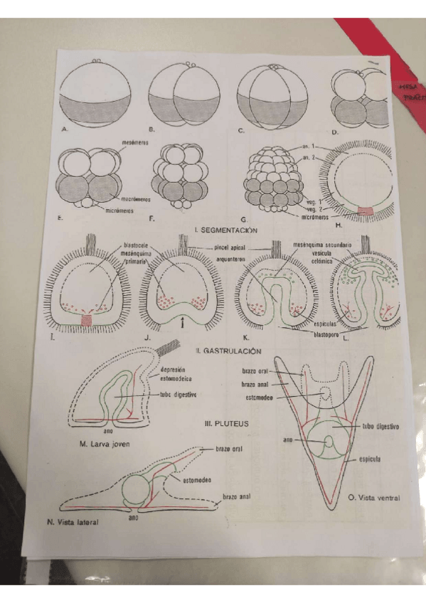 Miniatura del documento Visu-Practicas.pdf