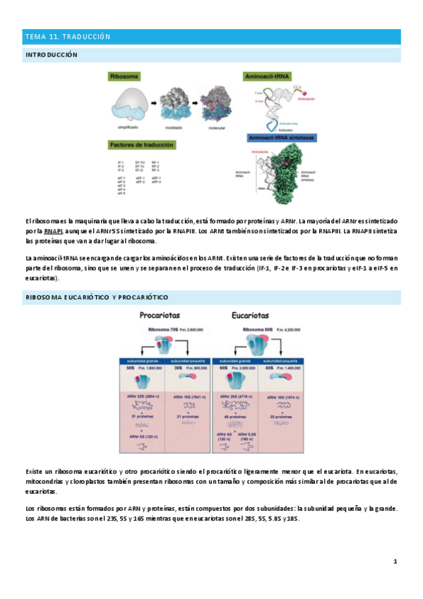 Miniatura del documento Tema-11.pdf