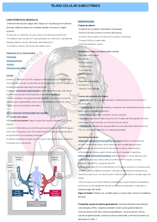 Miniatura del documento Tejido-celular-subcutaneowatermark.pdf