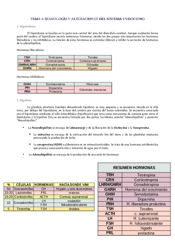 Miniatura del documento Tema-4-Sistema-endocrino.pdf