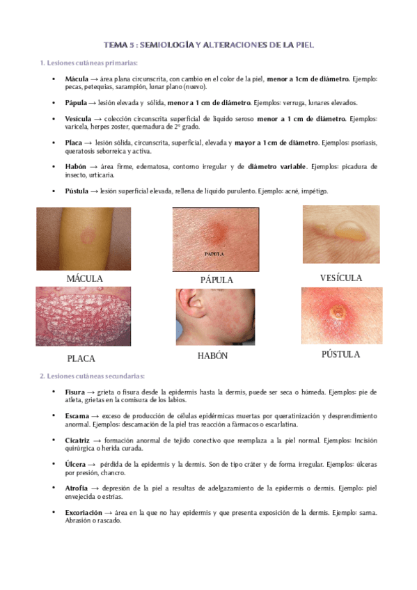 Miniatura del documento Tema-5-La-piel.pdf