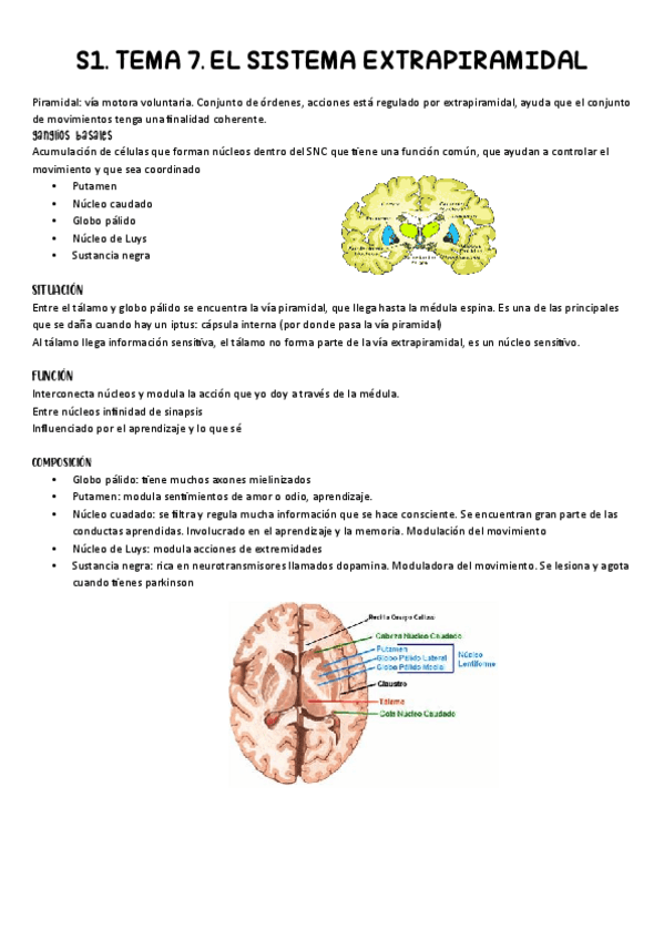 Miniatura del documento S1.pdf