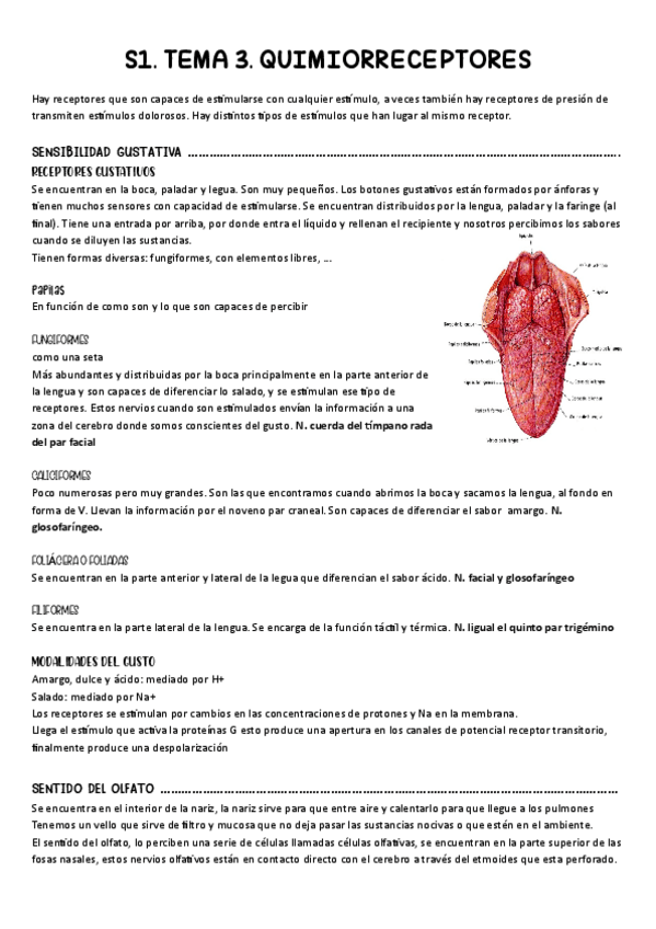 Miniatura del documento S1.pdf