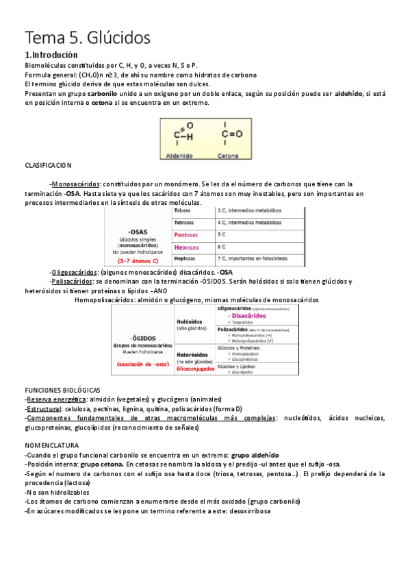 Miniatura del documento Tema-5.pdf