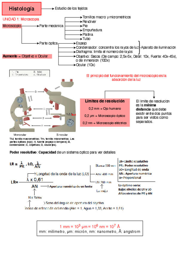 Miniatura del documento Histologia-1Aglomarulo.pdf